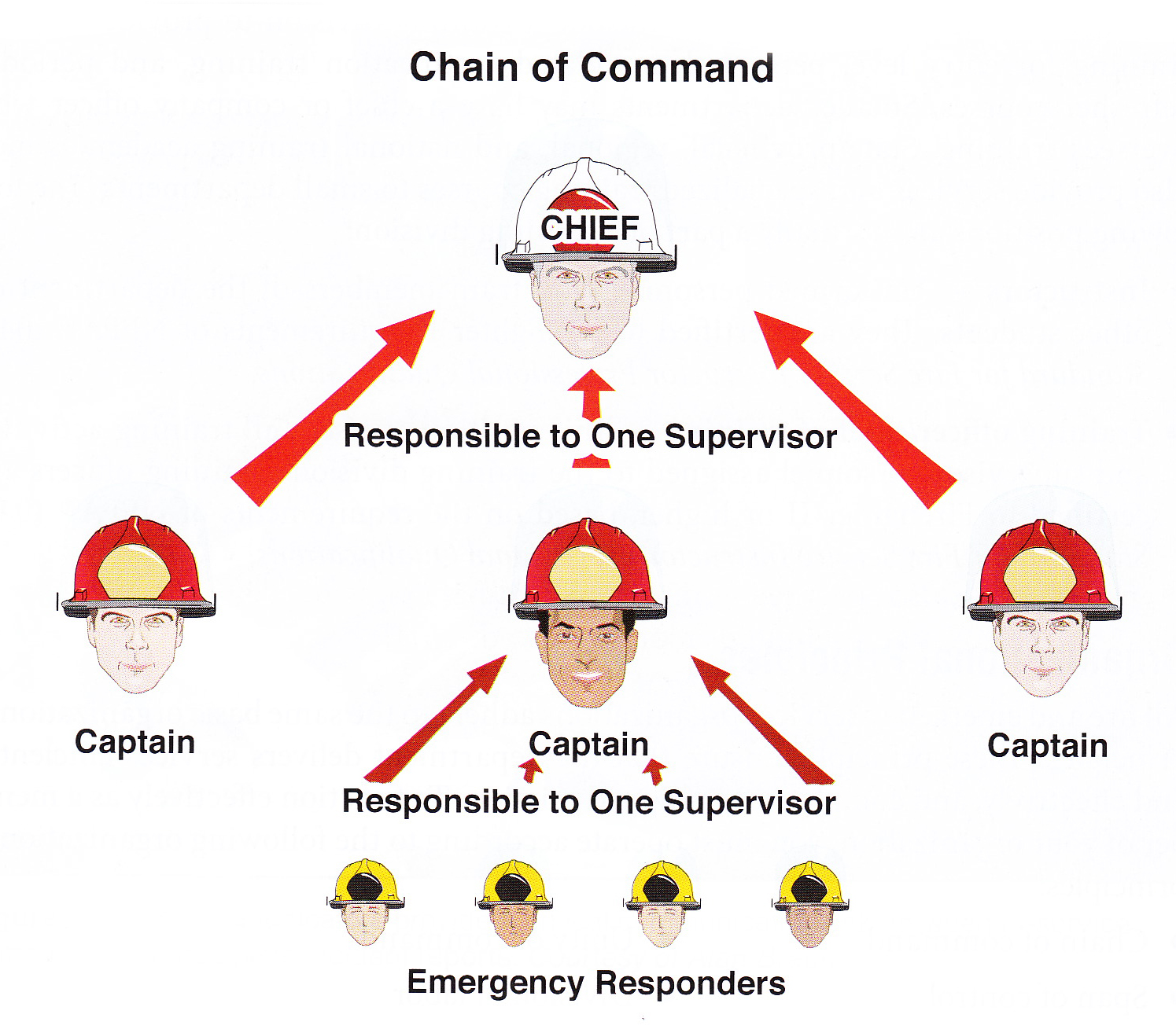 Fire Department Chain Of Command Chart