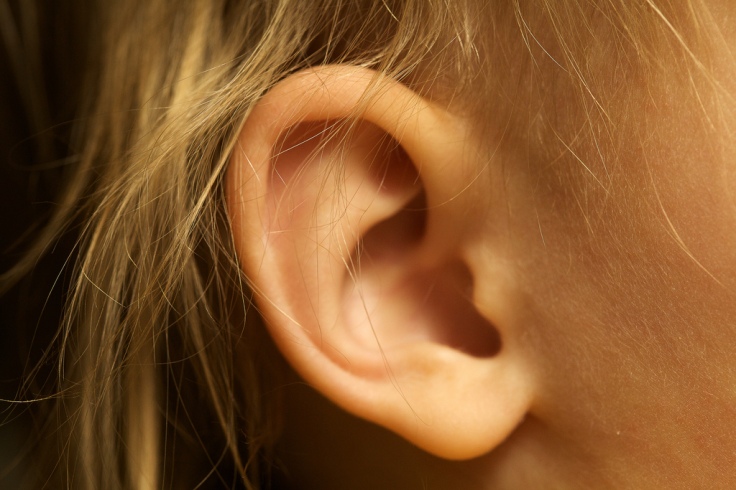 Ear by Travis Isaacs